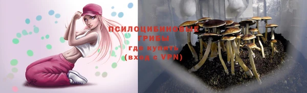 дурь Баксан