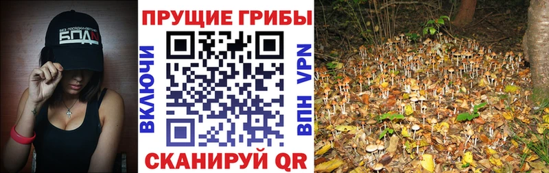 Псилоцибиновые грибы Magic Shrooms  Унеча 